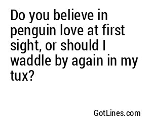 Do you believe in penguin love at first sight, or should I waddle by again in my tux?