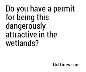 Do you have a permit for being this dangerously attractive in the wetlands?