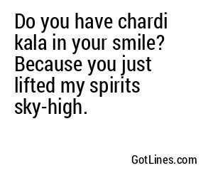 Do you have chardi kala in your smile? Because you just lifted my spirits sky-high.