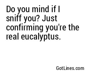 Do you mind if I sniff you? Just confirming you're the real eucalyptus.