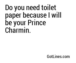 Do you need toilet paper because I will be your Prince Charmin.
