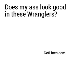 Does my ass look good in these Wranglers?

