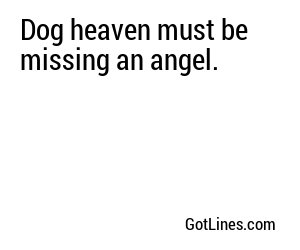 Dog heaven must be missing an angel.
