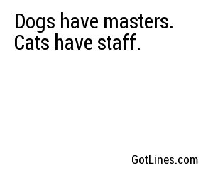 Dogs have masters. Cats have staff.