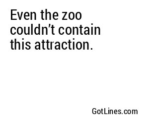 Even the zoo couldn’t contain this attraction.