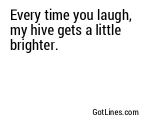 Every time you laugh, my hive gets a little brighter.