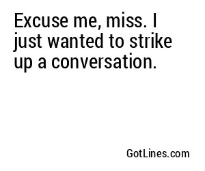 Excuse me, miss. I just wanted to strike up a conversation.