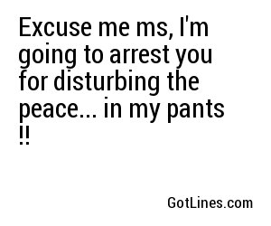 Excuse me ms, I'm going to arrest you for disturbing the peace... in my pants !!
