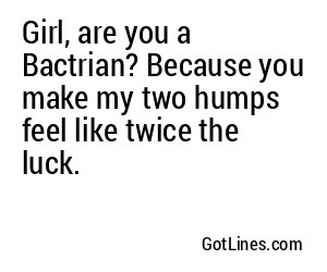 Girl, are you a Bactrian? Because you make my two humps feel like twice the luck.