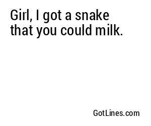 Girl, I got a snake that you could milk.