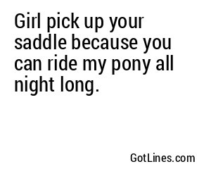 Girl pick up your saddle because you can ride my pony all night long.