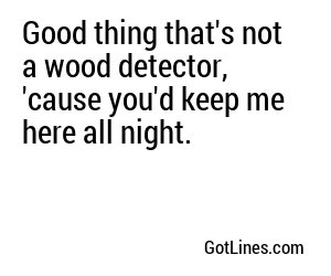 Good thing that's not a wood detector, 'cause you'd keep me here all night.
