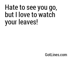 Hate to see you go, but I love to watch your leaves!
