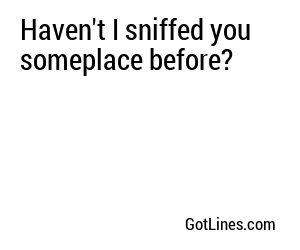 Haven't I sniffed you someplace before?
