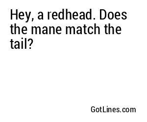 Hey, a redhead. Does the mane match the tail?