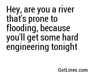 Hey, are you a river that's prone to flooding, because you'll get some hard engineering tonight  
