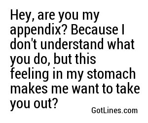 Hey, are you my appendix? Because I don't understand what you do, but this feeling in my stomach makes me want to take you out?