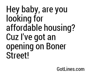 Hey baby, are you looking for affordable housing? Cuz I've got an opening on Boner Street!
