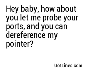 Hey baby, how about you let me probe your ports, and you can dereference my pointer?
