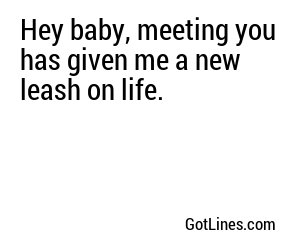Hey baby, meeting you has given me a new leash on life.
