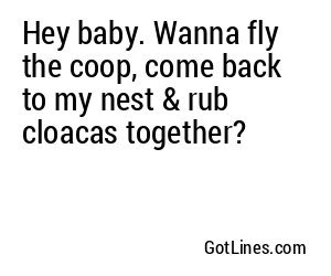 Hey baby. Wanna fly the coop, come back to my nest & rub cloacas together?
