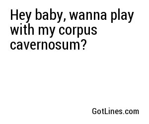 Hey baby, wanna play with my corpus cavernosum?
