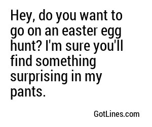 Hey, do you want to go on an easter egg hunt? I'm sure you'll find something surprising in my pants.
