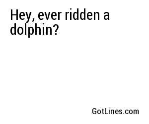 Hey, ever ridden a dolphin?
