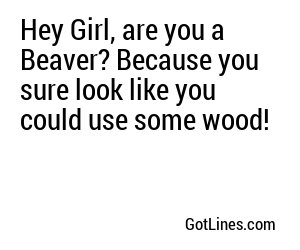 Hey Girl, are you a Beaver? Because you sure look like you could use some wood!
