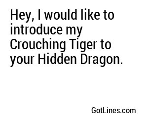 Hey, I would like to introduce my Crouching Tiger to your Hidden Dragon.
