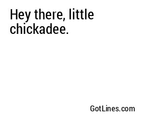 Hey there, little chickadee.