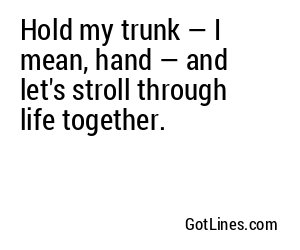 Hold my trunk — I mean, hand — and let's stroll through life together.