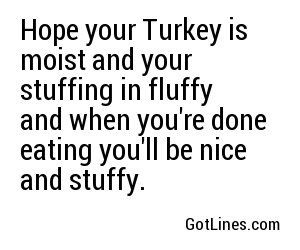 Hope your Turkey is moist and your stuffing in fluffy and when you're done eating you'll be nice and stuffy.
