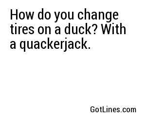 How do you change tires on a duck? With a quackerjack.
