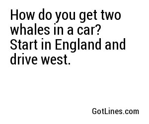 How do you get two whales in a car? Start in England and drive west.