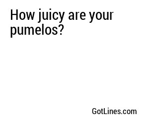 How juicy are your pumelos?
