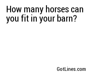 How many horses can you fit in your barn?
