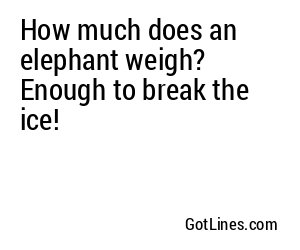How much does an elephant weigh? Enough to break the ice!