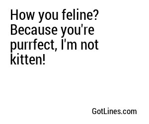 How you feline? Because you're purrfect, I'm not kitten!