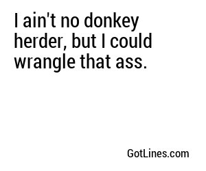 I ain't no donkey herder, but I could wrangle that ass.

