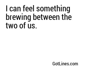 I can feel something brewing between the two of us.
