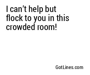 I can’t help but flock to you in this crowded room!