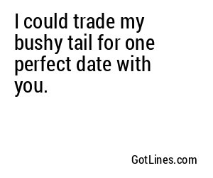 I could trade my bushy tail for one perfect date with you.