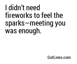 I didn’t need fireworks to feel the sparks—meeting you was enough.
