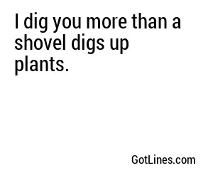 I dig you more than a shovel digs up plants.

