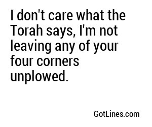 I don't care what the Torah says, I'm not leaving any of your four corners unplowed.
