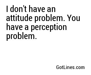 I don't have an attitude problem. You have a perception problem.
