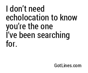 I don’t need echolocation to know you’re the one I’ve been searching for.