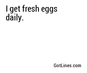 I get fresh eggs daily.
