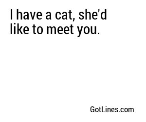 I have a cat, she'd like to meet you.
